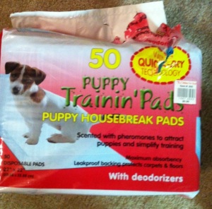 Puppy training pads. Dog training pads. Potty training. Puppy training.